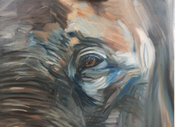 Elefant
