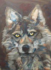 Wolf
